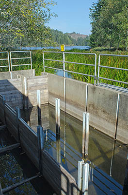 OR: Coos County, Northern Coastal Area, Lakeside Community, William M Tugman State Park, This fish trap on the lake's outflow is used for steelhead trout conservation and breeding, and doubles as a fish ladder. [Ask for #274.A12.]