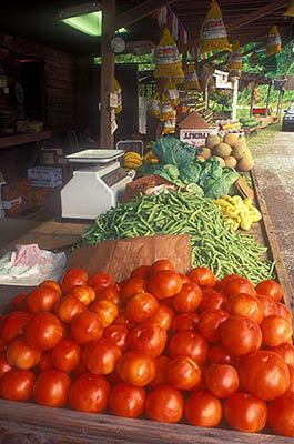 North Carolina: The Great Smoky Mtns Region, Swain County, Tuckaseegee Valley, Bryson City, Shuler's Produce Stand. A great stack of fresh tomatoes at one end of an outdoor table, followed by beans, squash, cabbage; peanuts hang in bags. [Ask for #216.015.]