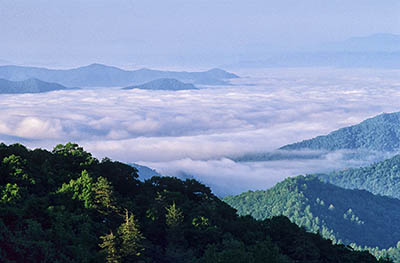 NC: Swain County, Great Smoky Mountains Nat. Park, Newfound Gap Road, Thomas Ridge, View from Thomas Ridge Overlook Morning fog in valleys [Ask for #216.220.]