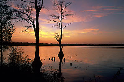 Dusk view over lake. Location: NC, Bladen County, Elizabethtown Area, Jones Lake State Park. [ref. to #233.318]