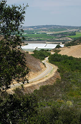 CA: South Coast Region, Santa Barbara County, Lompoc Area, Purisma Hills, Harris Grade Road, View [Ask for #271.010.]