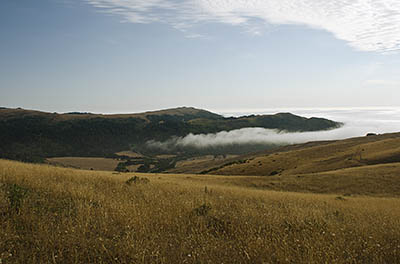 CA: North Coast Region, Humboldt County, The Lost Coast, Bear River Area, Bear River Ridge, View from Mattole Road as fog creeps into Bear River Valley [Ask for #271.083.]