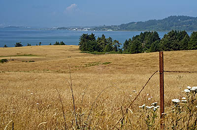 CA: North Coast Region, Humboldt County, Humboldt Bay Area, Humbolt Bay Area, Table Bluff, View from the bluff northward across the bay towards Eureka and Fields Landing [Ask for #271.097.]