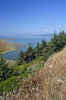CA: North Coast Region, Humboldt County, Humboldt Bay Area, Humbolt Bay Area, Table Bluff, View from Table Bluff County Park northward across the bay towards Eureka and Fields Landing, showing South Jetty. [Ask for #271.099.]