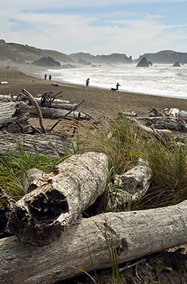 OR: South Coast Region, Coos County, Bandon Area, Town of Bandon, Coquille River Mouth, South Jetty, Large hoodoos emerge from the beach and ocean at South Jetty County Park [Ask for #271.150.]