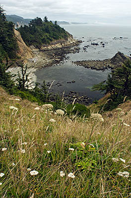 OR: South Coast Region, Coos County, Coos Bay Area, Cape Arago Area, Cape Arago State Park, Cliff view [Ask for #271.157.]