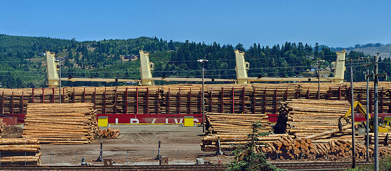 OR: South Coast Region, Coos County, Coos Bay Area, City of North Bend, Waterfront, Logs are loaded onto an ocean-going ship; panoramic view. [Ask for #271.159.]