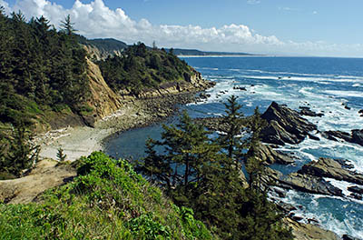 OR: Coos County, Coos Bay Area, Cape Arago Parks, Cape Arago Viewpoint, Sea cliffs [Ask for #274.026.]