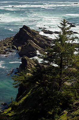 OR: Coos County, Coos Bay Area, Cape Arago Parks, Simpson Reef Viewpoint, Sea cliffs [Ask for #274.030.]