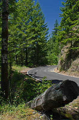 OR: South Coast Region, Coos County, Coast Range, Coos Bay Wagon Road, Lower Brewster Canyon, The Coos Bay Wagon Road goes through the lower section of Brewster Canyon as a paved, single lane road [Ask for #274.212.]