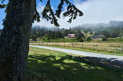 OR: South Coast Region, Curry County, North Coast, Cape Blanco Area, Cape Blanco State Park, Fog rolls into picnic area by the Sixes River; gravel road descends from cliffs above. Restored farmhouse museum in bkgd. [Ask for #274.382.]