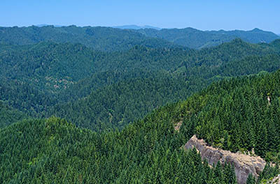 OR: South Coast Region, Douglas County, Coast Range, Elliott State Forest, The Ridgetop Drive, Cougar Pass Area, Wide views over clear cuts from FS 7000 (the northern mainline) at Cougar Pass [Ask for #274.509.]