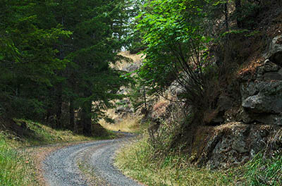 OR: South Coast Region, Douglas County, Coast Range, Elliott State Forest, Outside Links, FR 2000, This mainline logging road passes through rock cuts as it descends to SR 38 and the Umpqua River. [Ask for #274.627.]