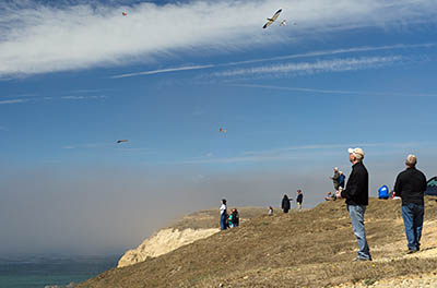 OR: Western Oregon, Curry County, Northern Curry County Coast, Cape Blanco Area, Cape Blanco State Park, People fly radio-controlled gliders off the grass-topped cliffs at Cape Blanco [Ask for #274.662.]
