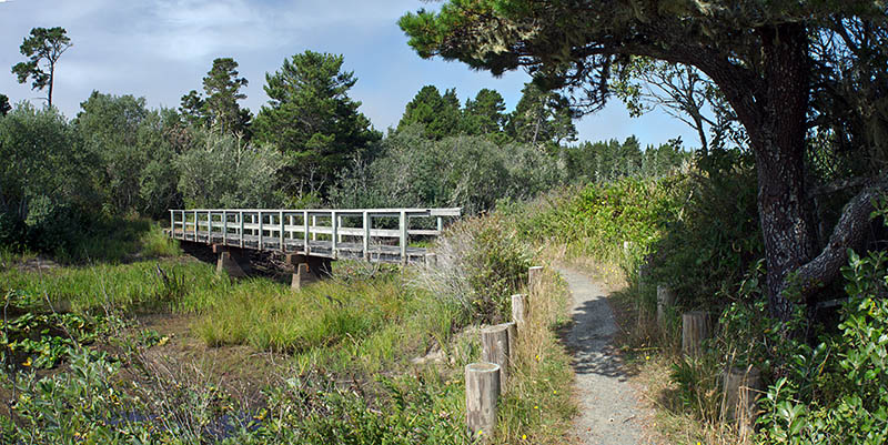 This trail in the Horsfall area crosses Bluebill Lake on a small bridge.