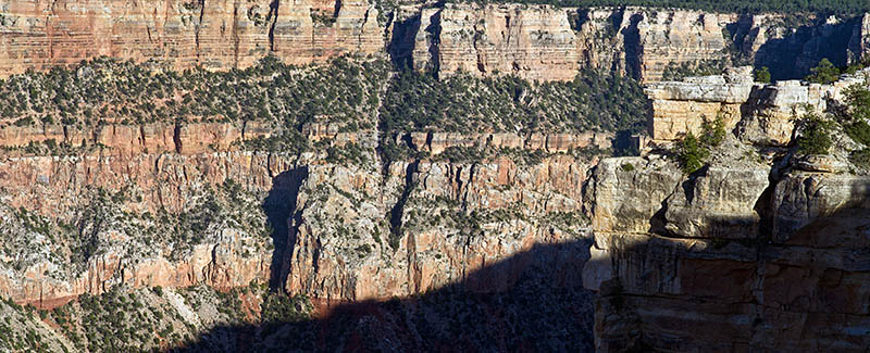AZ: Northern Arizona Region, Coconino County, Grand Canyon Area, Grand Canyon National Park, South Rim, Mather Point, Canyon view [Ask for #275.065.]