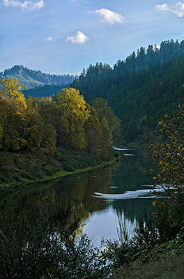 OR: Douglas County, Coast Range, Camp Creek Area (BLM), Tyee Area, View of the Umpqua River, in fall colors [Ask for #276.129.]