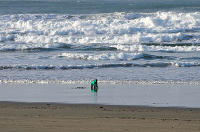 A child plays in the surf at Bastendorff Park, the southern terminus of the Oregon Dunes.