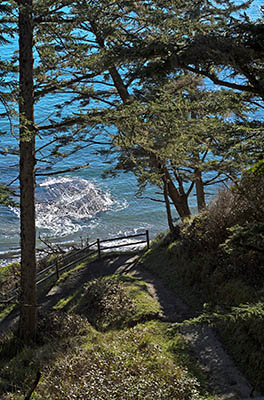 OR: Coos County, Coos Bay Area, Cape Arago Parks, South Cove, Path leading down the cliffs through forests [Ask for #276.370.]