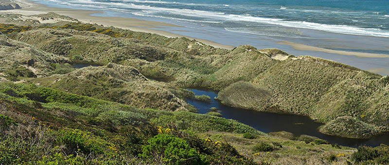 Natural lakes form between the dunes, as viewed from the cliffs that rise above the Oregon Dunes' northern end. [Ask for 276.486]