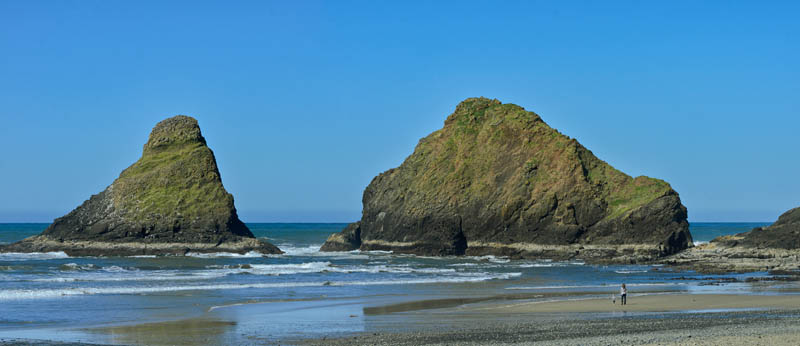 OR: South Coast Region, Lane County, Pacific Coast, Cape Perpetua Area, Heceta Head, Panorama of sea cliffs at Heceta Head from its beach; these are adjacent to the Heceta Head Lighthouse. [Ask for #276.501.]