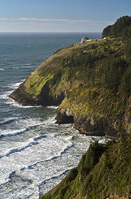 OR: South Coast Region, Lane County, Pacific Coast, Cape Perpetua Area, Sea Lion Cliffs, Cliff view. The Sea Lion Caves attraction is visible in the distance. [Ask for #276.562.]