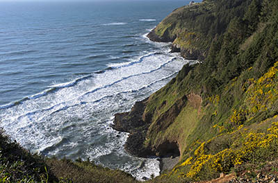 OR: South Coast Region, Lane County, Pacific Coast, Cape Perpetua Area, Sea Lion Cliffs, Cliff view. The Sea Lion Caves attraction is visible in the distance. [Ask for #276.565.]
