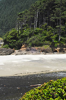 OR: South Coast Region, Lane County, Pacific Coast, Cape Perpetua Area, Neptune State Scenic Viewpoint, Neptune Overlook, View across the sand to a forested headland [Ask for #276.A46.]