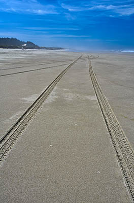 Vehicles tracks on the sand near Sparrow Park Road. Fog is rolling in.