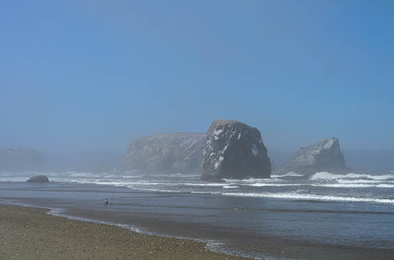 OR: Coos County, Bandon Area, South Beaches, Kronenberg County Park. Fog lifts, showing sea spires [Ask for #277.128.]