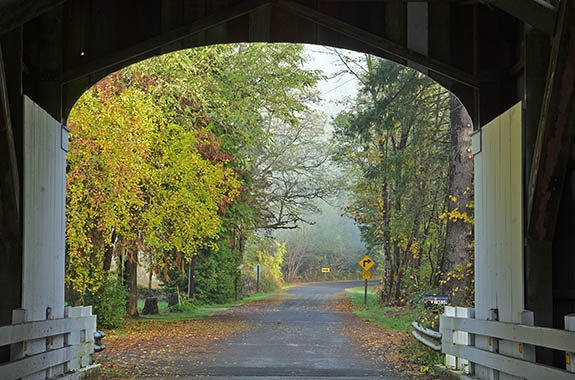 OR: Willamette Valley Region, Lane County, South Willamette Valley, Eugene Area, Marcola Area, Wendling Covered Bridge, View from inside the bridge up the country lane it serves. [Ask for #277.442.]