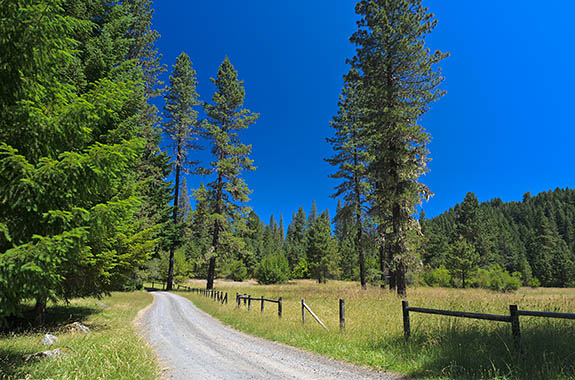 OR: Josephine County, Coast Mountains, Galice Area, Briggs Valley Recreation Area. Gravel road passes through meadows from a historic ranch on this site [Ask for #278.327.]